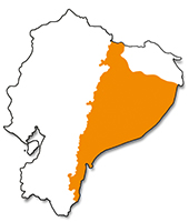 Mapa de distribución de Ateles belzebuth. Sección "Nuestra Fauna", Ecuador Terra Incognita Mapa de distribución de Ateles belzebuth. Sección "Nuestra Fauna", Ecuador Terra Incognita