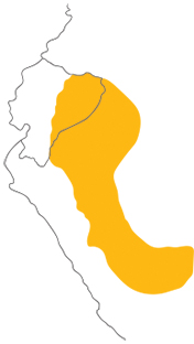 Mapa de distribución de Cebus yuracus. Sección "Nuestra Fauna", Ecuador Terra Incognita