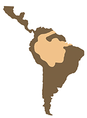 Mapa de distribución de la charapa gigante (Podocnemis expansa). Sección "Nuestra Fauna", Ecuador Terra Incognita Mapa de distribución de la charapa gigante (Podocnemis expansa). Sección "Nuestra Fauna", Ecuador Terra Incognita