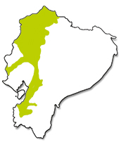 Mapa de distribución de la rana mono planeadora (Agalychnis spurrelli) en Ecuador. Serie Nuestra Fauna, revista Ecuador Terra Incognita.