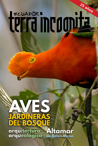 Portada de la revista Ecuador Terra Incognita No. 128: El cóndor andino (Vultur gryphus) es el ave voladora de mayor envergadura. Foto: Tui de Roy / Minden Pictures