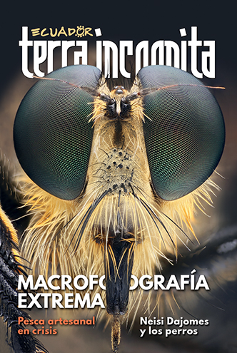 Portada de la revista Ecuador Terra Incognita No. 127: Mosca depredadora de la familia Asilidae. Caza insectos y les inocula enzimas para predigerirlos y luego absorberlos por su &ldquo;sorbete&rdquo;. Foto: Sebasti&aacute;n Padr&oacute;n