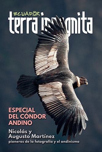 Portada de la revista Ecuador Terra Incognita No. 128: El c&oacute;ndor andino (Vultur gryphus) es el ave voladora de mayor envergadura. Foto: Tui de Roy / Minden Pictures