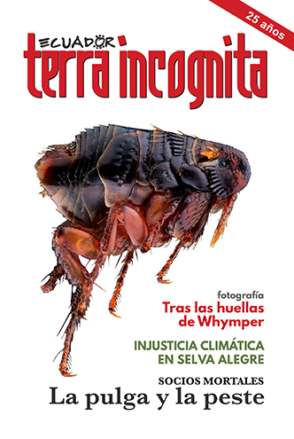 Portada de la revista Ecuador Terra Incognita No. 130: Pulga de un conejo andino (Sylvilagus andinus) hallado atropellado en una v&iacute;a de Azuay. Foto: Sebasti&aacute;n Padr&oacute;n
