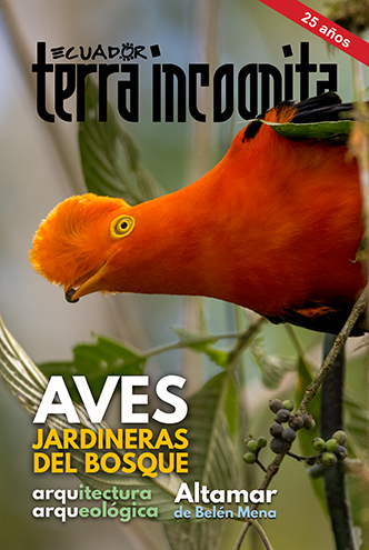 Portada de la revista Ecuador Terra Incognita No. 131: Un gallito de la pe&ntilde;a andino (Rupicola peruvianus) se alimenta de frutos de yanango (Guettarda sp.). Foto: Murray Cooper