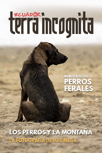 Portada de la revista Ecuador Terra Incognita No. 135: Los perros ferales en las playas pueden causar problemas, como la predaci&oacute;n de huevos de tortuga. Aqu&iacute; uno en la playa de Ayampe, Manab&iacute;. Foto: Andr&eacute;s Vallejo Espinosa