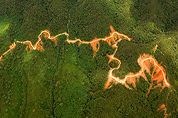 Trocha en la cordillera del Cóndor utilizada en la fase de exploración, en 2006. / Jorge Anhalzer Bosque de la cordillera del Cóndor atravezado por una trocha minera. Foto: Jorge Anhalzer