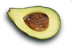 Aguacate (Persea americana), del valle de Guayllabamba. Foto: Andr&eacute;s Vallejo