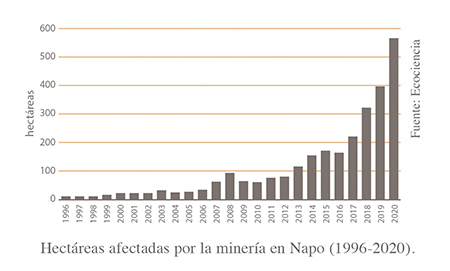 Hectáreas afectadas por la minería en Napo (1996-2020). Fuente: Ecociencia Hectáreas afectadas por la minería en Napo (1996-2020). Fuente: Ecociencia