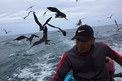 La pesca artesanal se mueve entre el agotamiento de sus recursos y las amenazas y tentaciones del crimen organizado Foto: Andr&eacute;s Y&eacute;pez