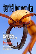 Portada de la revista Ecuador Terra Incognita No. 136: Soldado de Eciton hamatum, hormiga legionaria común en las selvas americanas. Foto: Alexander Wild.