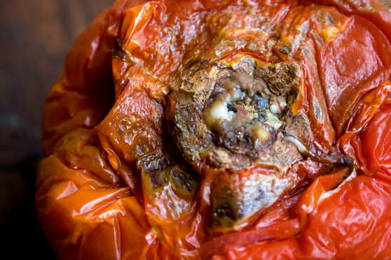 Tomate. Foto: Pilar Cáceres