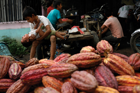 Cacao maduro en San Luis, en la parte baja del cantón Guaranda. Foto: Ivan Kashinsky