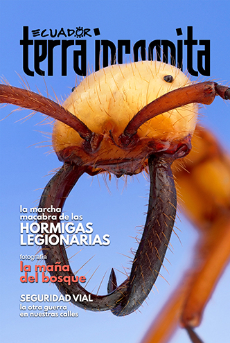 Portada de la revista Ecuador Terra Incognita No. 136: Soldado de Eciton hamatum, hormiga legionaria com&uacute;n en las selvas americanas. Foto: Alexander Wild.