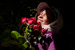 Carmen Acero en su casa en Cangahua, donde trabaja en la micrplantación de rosas de su hija. Foto: Johis Alarcón Carmen Acero en su casa en Cangahua, donde trabaja en la micrplantación de rosas de su hija. Foto: Johis Alarcón