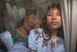 Carmen Acero en su casa en Cangahua, donde trabaja en la micrplantaci&oacute;n de rosas de su hija. Foto: Johis Alarc&oacute;n