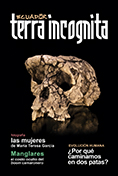 Portada de la revista Ecuador Terra Incognita No. 140: Cráneo de Sahelanthropus tchadensis de 7 millones de años encontrado en el desierto de Djurab, Chad. La posición de su unión con la columna, así como un hueso de pierna asociado, podrían hacerlo la más antigua evidencia de bipedismo en homínidos. Foto: Didier Descouens
